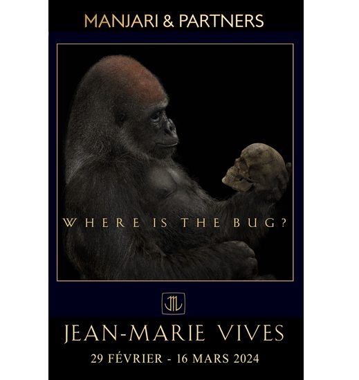 Jean-Marie VIVES